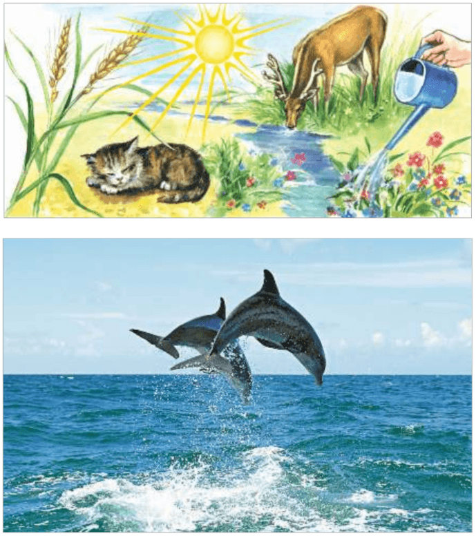 Задание рисунок 1